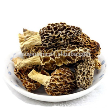 fresh morel mushrooms export price, dried morel mushrooms